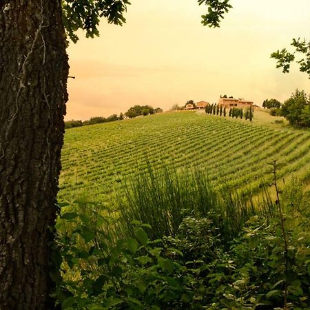 Casali Di Casole - Timbers Tuscany Casole dʼElsa Exteriör bild