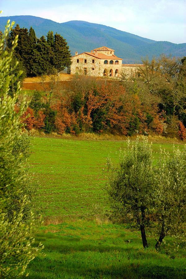 Casali Di Casole - Timbers Tuscany Casole dʼElsa Exteriör bild
